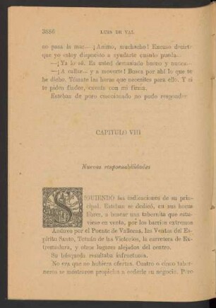Capítulo VIII - Nuevas responsabilidades