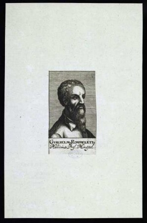 Rondelet, Guillaume