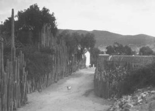 In Mitla : Dorfstraße mit Säulenkakteen und Hütten