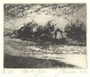 Elbe bei Gohlis