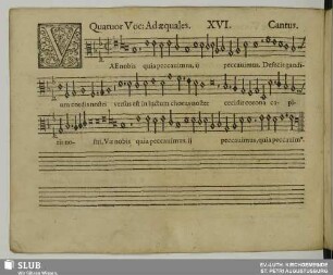 XVI. Vae nobis quia peccavimus