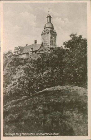 Ansichtskarte Museum Burg Falkenstein im Selketal Ostharz