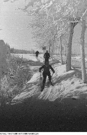 Erzgebirge. Wintersportmeisterschaften: Langlauf, Volkssport, im Erzgebirge im Beisein von Ministerpräsident Max Seydewitz, 1950