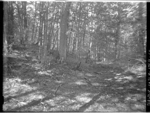 Viereckschanze bei Bütthard
