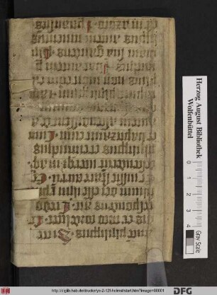 Tractatus duo Spiritales : I. De Interiori Domo, II. De Conscientia