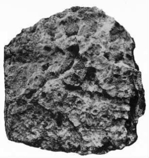 Uaxactun, Stela 15 (UAX: St. 15)