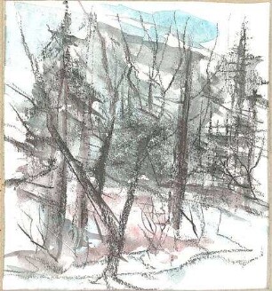 Gsaenger, Gustav; Landschafts - und Gebäudestudien - Waldlandschaft (Studie)