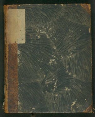 1. Th., 2. Bdchn: Taschenbibliothek der wichtigsten und interessantesten Reisen in die Türkei