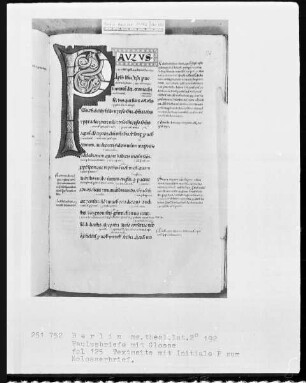 Paulusbriefe mit Glossen — Initiale P (aulus), Folio 125recto