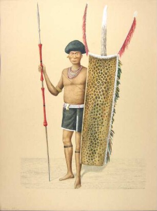 Mao Naga