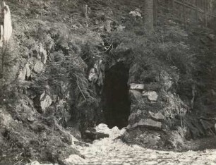 Eingang in einen "Fledermausstollen"