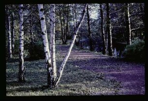 Tiergarten 30.10.65.