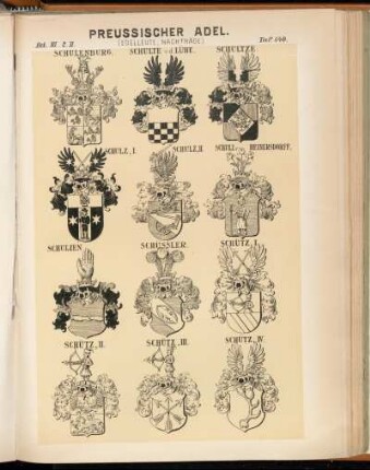 Taf. 140. Schulenburg. -Schulte v. d. Lühe. - Schultze. - Schulz. I. - Schulz. II. - Schulz v. Heinersdorff. - Schulzen. - Schüssler. - Schütz. I. - Schütz. II. - Schütz. III. - Schütz. IV.