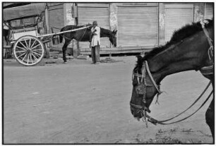 Udaipur. Mann mit Pferd und Karren