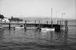Langenargen: Hafen