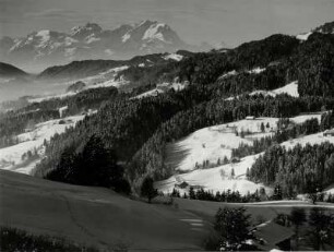 Blick von der Queeralpenstraße bei Oberstaufen Richtung Schweiz