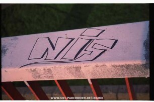 NiS