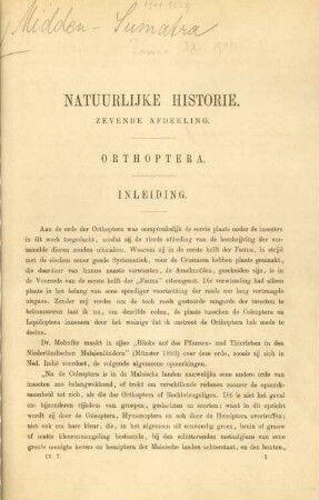 Zevende afdeeling. Orthoptera