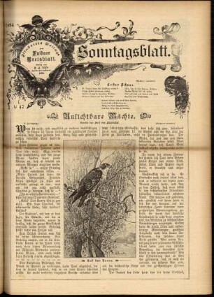 Ausgabe vom Sonntag, den 25. November 1894.