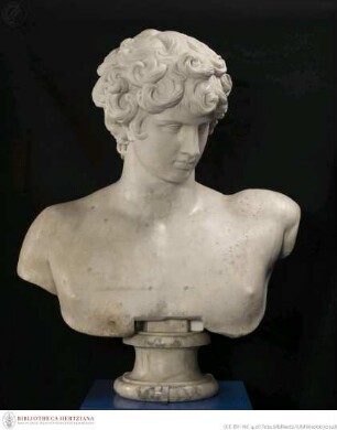 Büste des Antinous