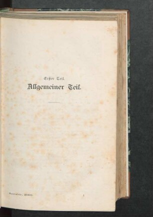 Erster Teil. Allgemeiner Teil