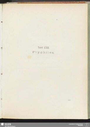 Tafel LXII. Ptychites