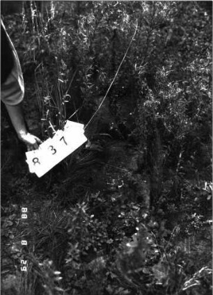 Grabstein 837 (Index: 100099377) Zustand: Fragment: Grabstein 837
