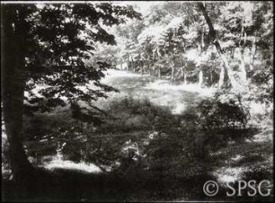 Marly (Marly-le-Roi).