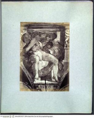 Rome peinture decorativeVatikan, Sixtinische Kapelle, Detail des Deckenbildes von Michelangelo mit dem Propheten Jonas - Rotes Album II (vorwiegend Cappella Sistina, Farnesina)