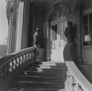 Dresden. Zwinger, Putti an einer Treppe (am Französischen Pavillon?)