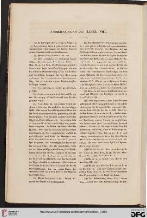 Anmerkungen zu Tafel VIII
