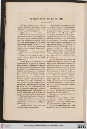 Anmerkungen zu Tafel VIII