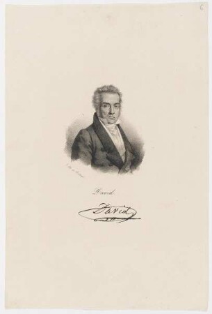 Bildnis des David