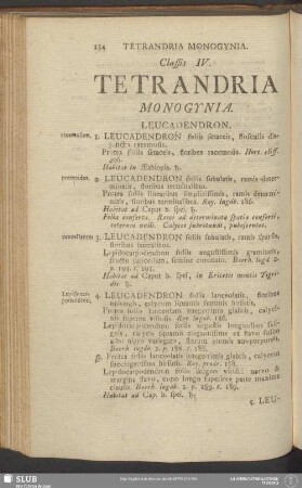 Classis IV. Tetrandria