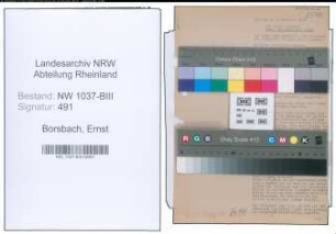 Entnazifizierung Ernst Borsbach , geb. 04.12.1907 (Rechtsanwalt)