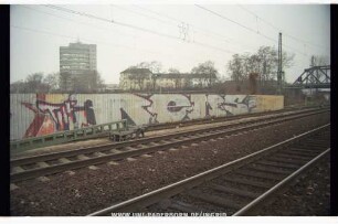 THE ReMS