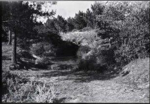 La Baule, Bois d'Amour