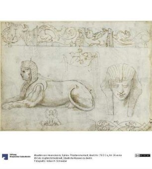 Sphinx. Pilasterornament