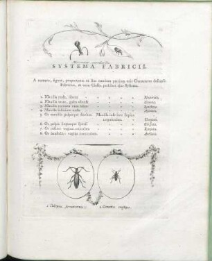 Systema Fabricii.