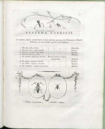 Systema Fabricii.