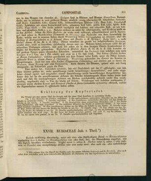 111-134, XXVII. Rubiaceae -XXIX. Boragineae.