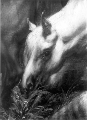Merkur und Argus mit Viehherde und Hund, Ausschnitt: Kopf eines fressenden Pferdes