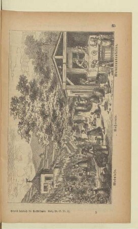 [Weinlese]