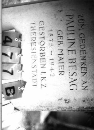 Grabstein 477 (Index: 100088513) Material: gelber Sandstein Maße HxBxT: 142x58x16 cm Symbolik: Davidstern Besonderheit: kulturhistorisch wertvoll / künst.-formale und hist.-wiss. Gründe (Gedenkinschrift, Schoah-Opfer): Grabstein 477B