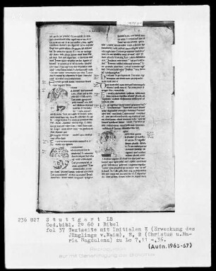 Bibel — Textseite mit zwei historisierten Initialen, Folio 37recto