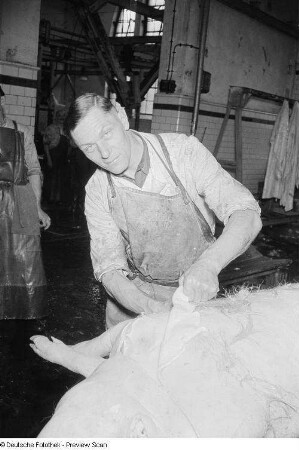 Arbeiter beim Häuten eines Schweins