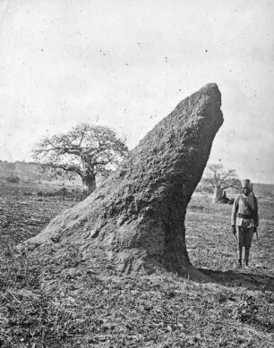 "Kilwa Kilindie Termitenhügel"