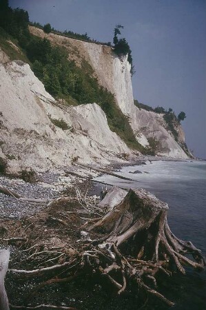 Rügen. Jasmund, Gakower Ufer bei Saßnitz, Kreideküste