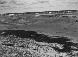 Strand : Blick über den Strand auf das Meer.