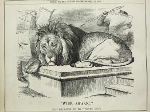 "Wide awake!"
